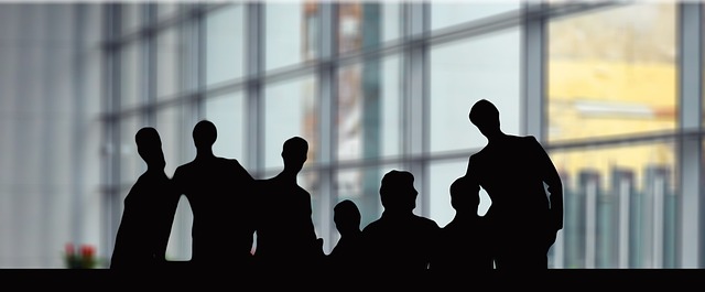 Team Collaboration Specialist
